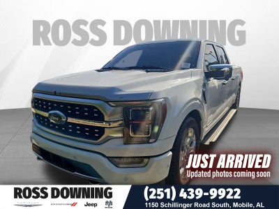 2022 Ford F-150 Platinum