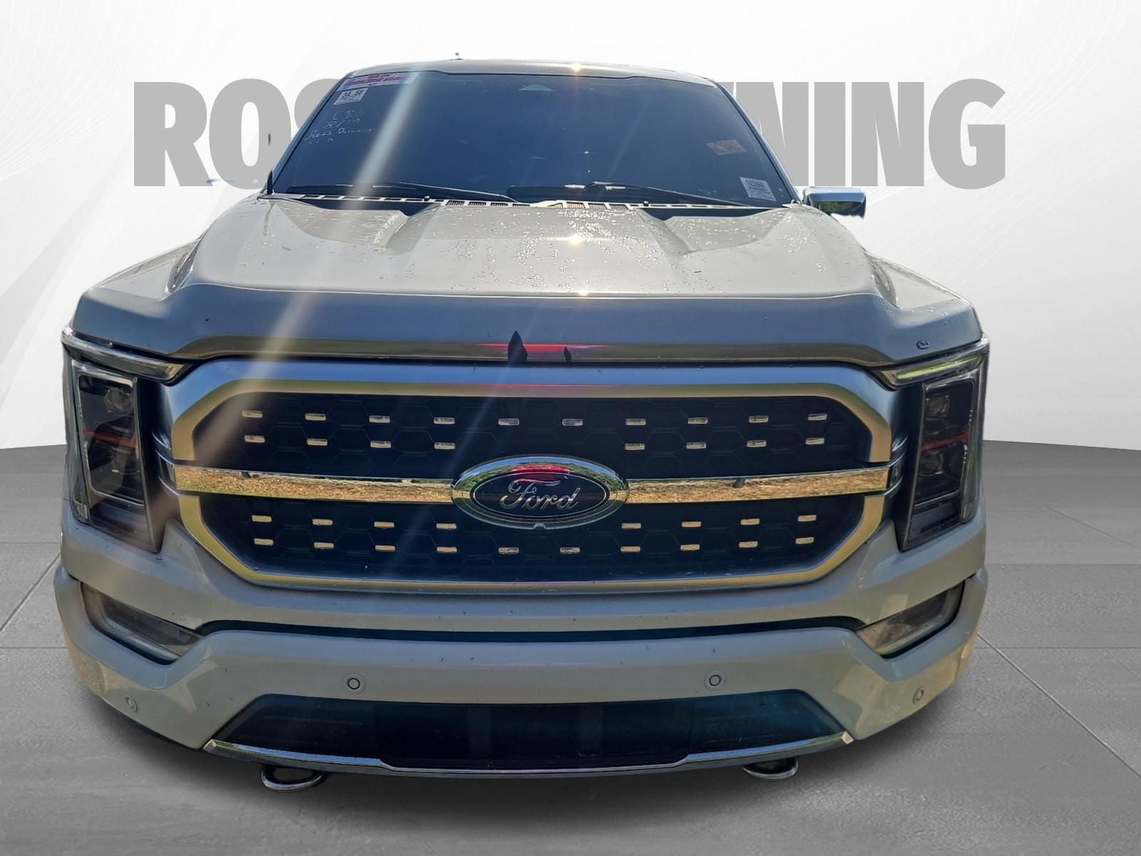 2022 Ford F-150 Platinum