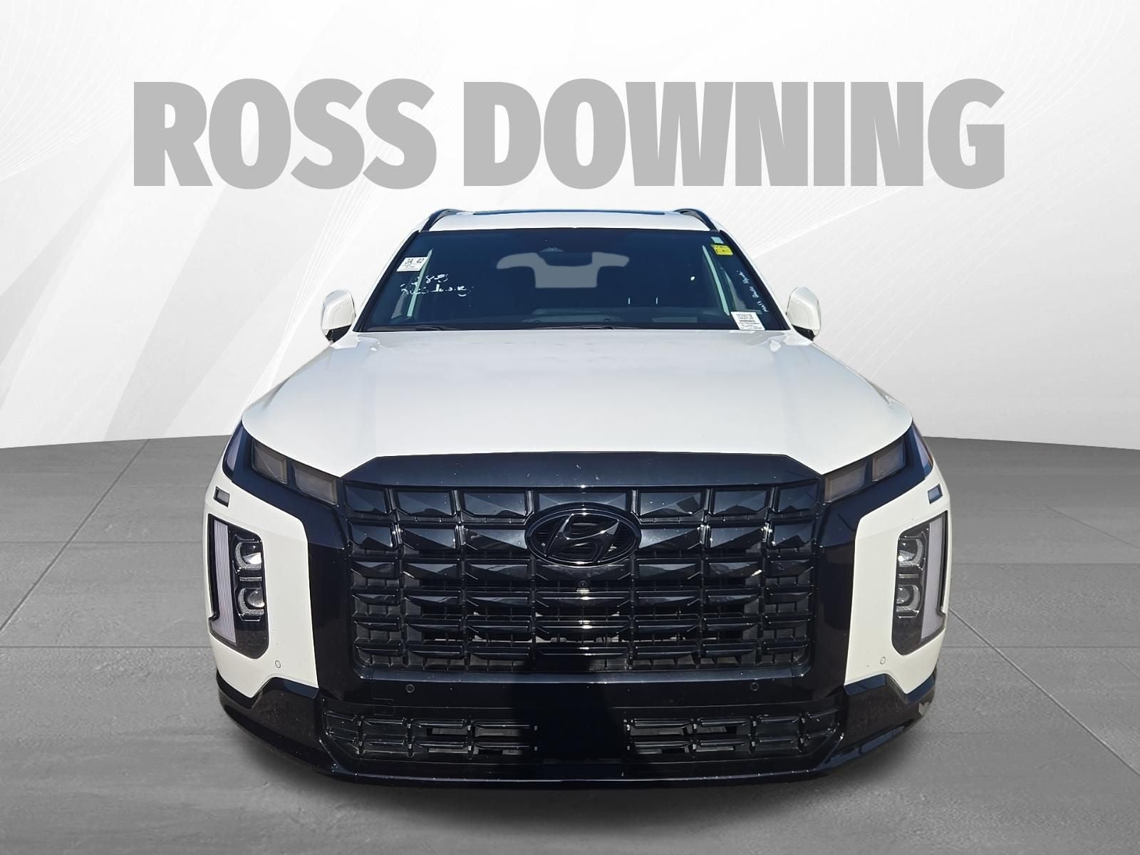 2024 Hyundai Palisade Calligraphy Night Edition